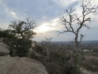 Cozy Cabin Getaways: Why January & February Are the Best Months to Visit the Hill Country